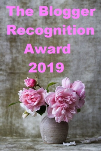 blogger-recognition-2019